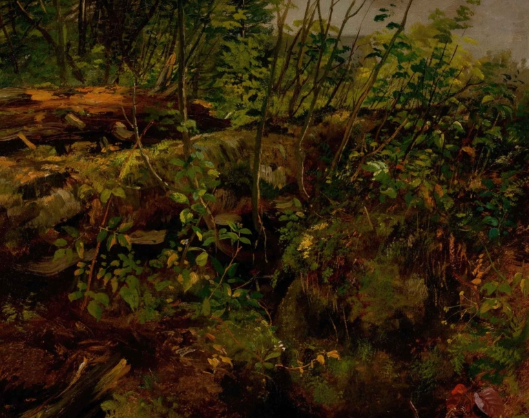 Study from Nature by Arthur Fitzwilliam Tait – detailed painting of American forest floor with plants, saplings, moss, and fallen trees.