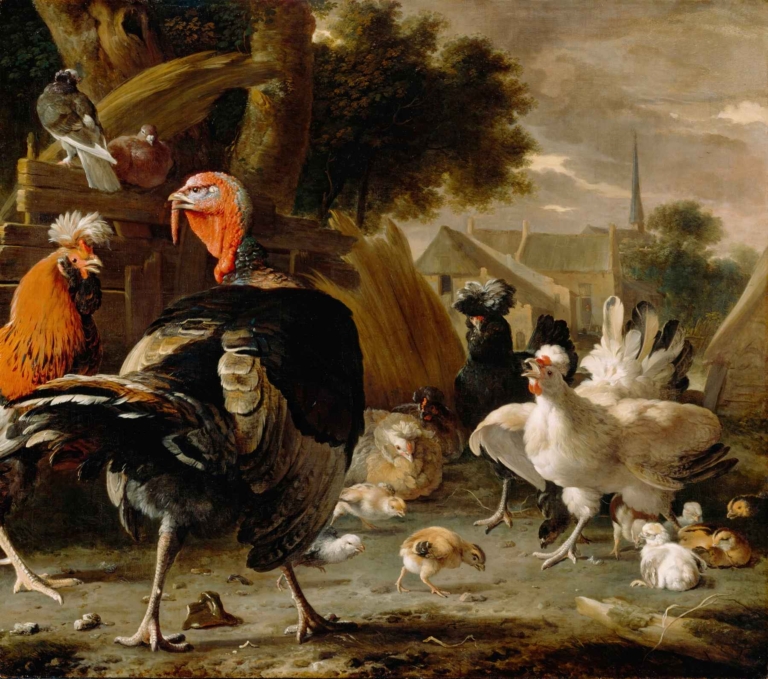Poultry Yard by Melchior d’Hondecoeter – Baroque painting of turkeys, chickens, chicks, and pigeons in a lively Dutch courtyard scene.