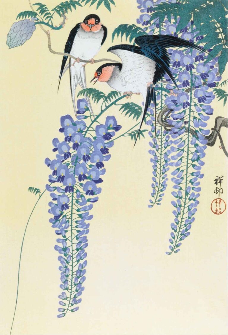 Kachō-e woodblock print by Ohara Koson showing two swallows perched on blooming wisteria vines with hanging purple flower clusters against a pale background.