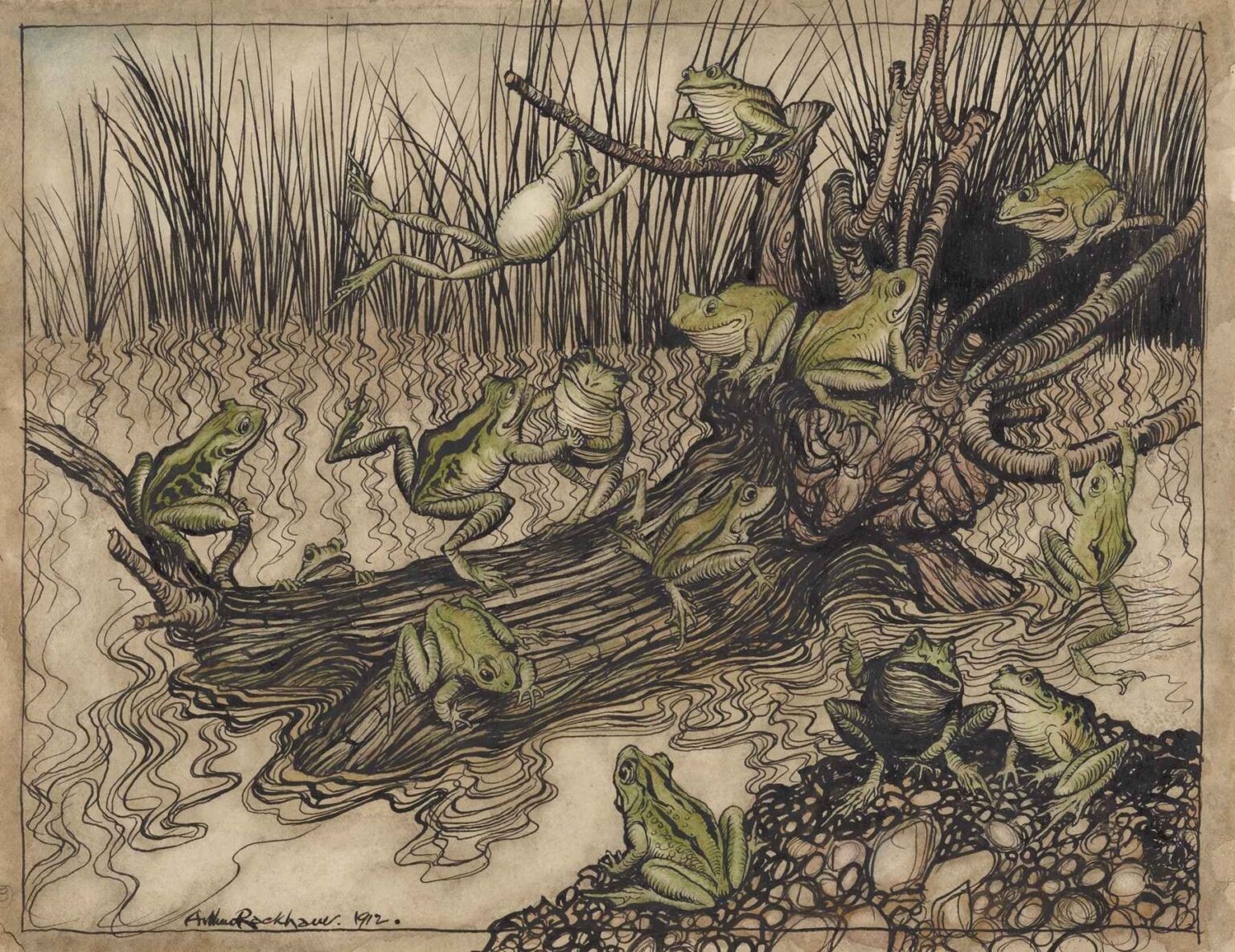 Ink and watercolor illustration showing a dozen green frogs perched on and around a gnarled fallen log in a swamp, with reeds and rippling water in the background.