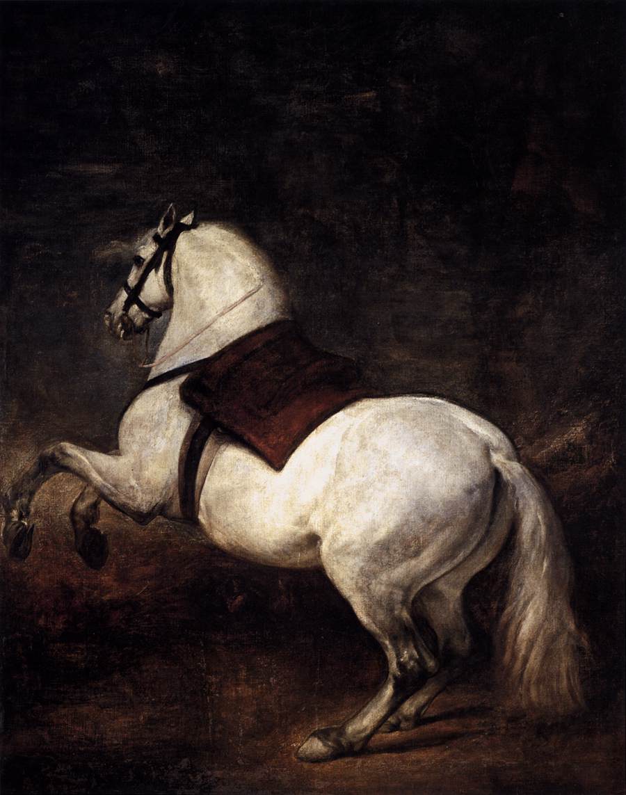 Riderless white horse executing a levade, forelegs raised and hindquarters compressed, shown in profile with a red pad and dark bridle against a deep brown background.