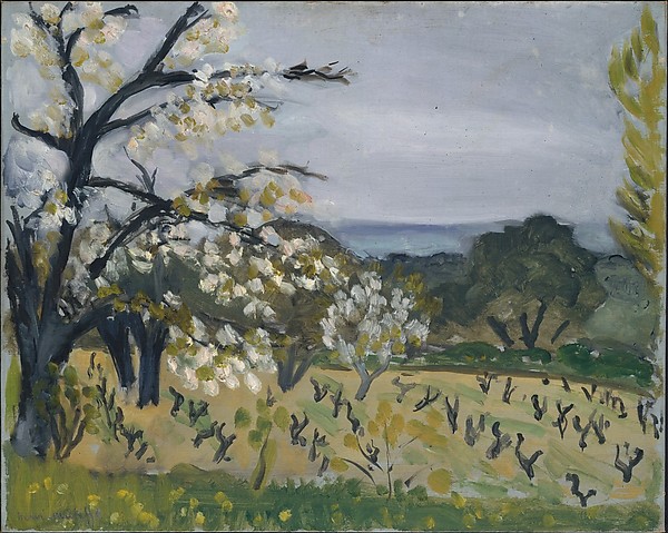 Spring landscape with white-blossoming trees at left, a sloping field scattered with small dark vine stumps, darker olive trees in the middle distance, and a pale gray-blue coastal sky above; painted with loose strokes and a restrained green-gray palette.