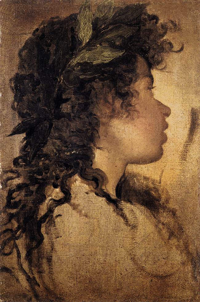 Profile study of Apollo with laurel wreath, curly hair, and softly modeled features on a warm, textured ground; the head is painted with economical strokes that blend drawing and thin color, revealing Velazquez’s Roman-era process.