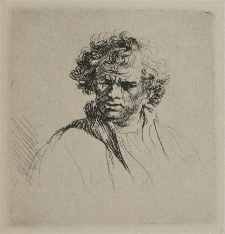 Small etching by Rembrandt showing a half-length man turning left with tousled curly hair, furrowed brow, and parted lips, the head modeled with lively hatching while the garment and background remain lightly sketched.