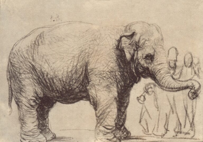 Rembrandt’s 1637 drawing of an elephant standing in profile facing right, modeled with dense hatching and wrinkles, trunk curved toward a small group of lightly sketched human figures at the sheet’s edge.