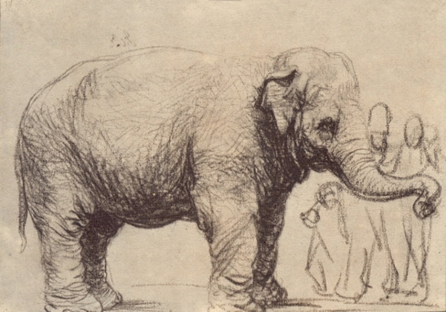 Rembrandt’s 1637 drawing of an elephant standing in profile facing right, modeled with dense hatching and wrinkles, trunk curved toward a small group of lightly sketched human figures at the sheet’s edge.