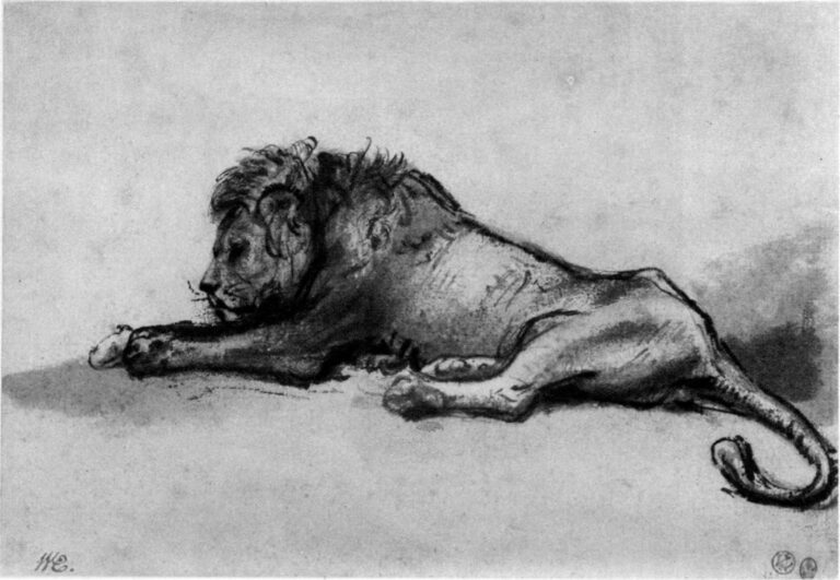 Chalk-and-wash drawing of a male lion lying in profile, head lowered to an outstretched forepaw, body arcing to a curled tail, rendered with economical lines and soft tonal washes against a largely empty ground.