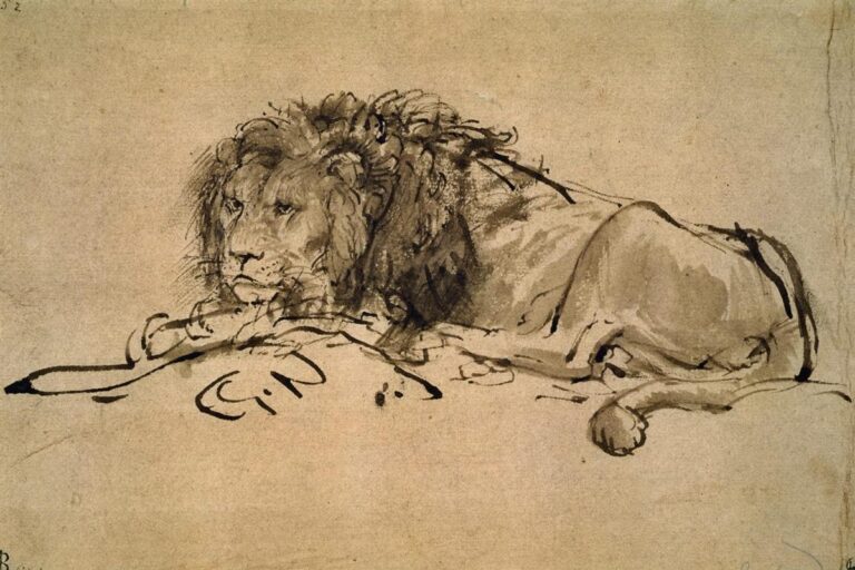 Pen-and-wash drawing of a reclining lion facing left, head raised and forepaws crossed, with dense mane rendered in dark strokes and broad washes shaping the body against a mostly blank paper ground.