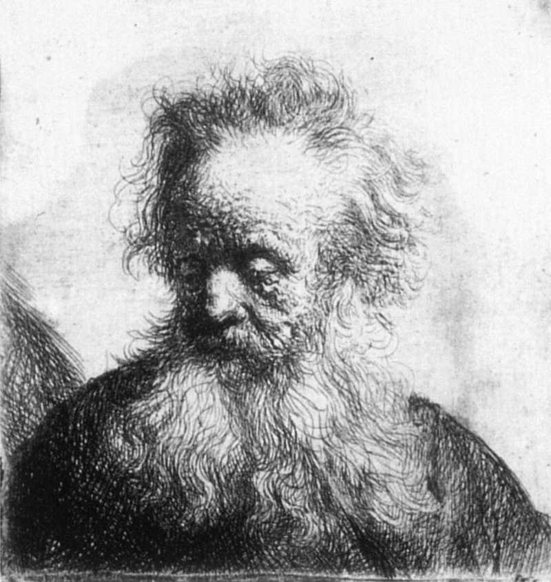 Small Rembrandt etching of an elderly man’s head turned down to the left, with wiry hair and a long flowing beard rendered in dense hatchings, the forehead glowing softly against a pale background while the shoulders sink into shadow.