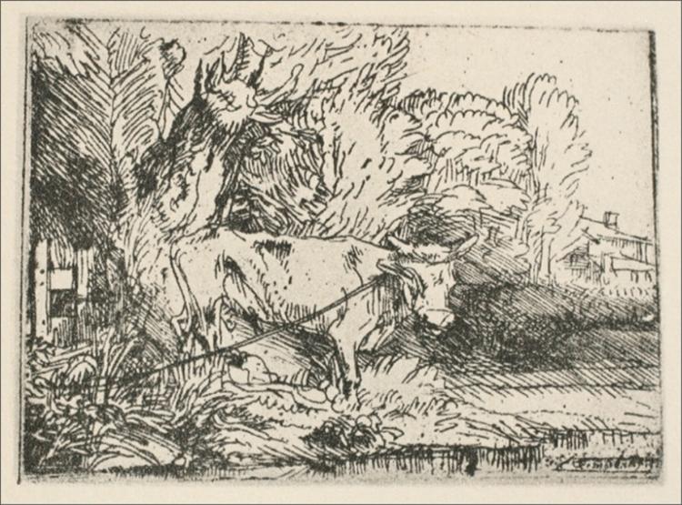 Rembrandt image of a tethered bull standing beneath dense trees beside a farm, rendered with varied lines and deep shadows that emphasize the animal’s weight and the surrounding foliage.