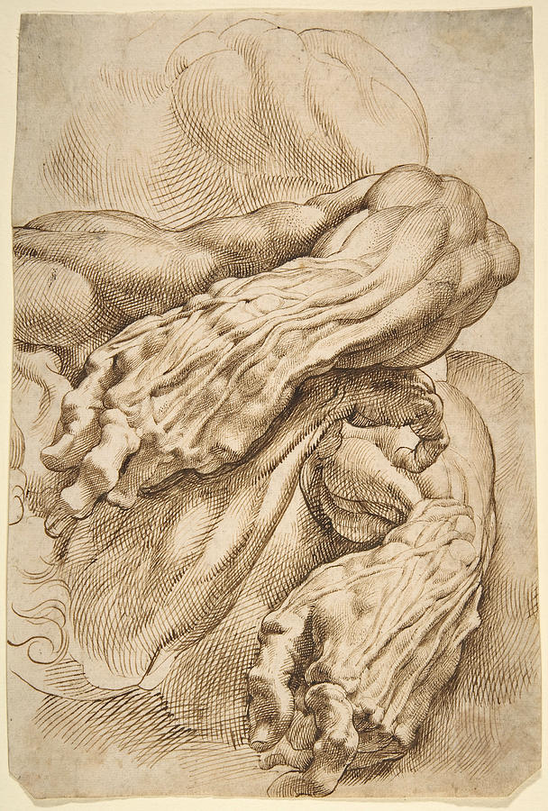 Pen-and-ink anatomical drawing by Peter Paul Rubens showing three powerful forearms overlapping across the page, their muscles, veins, and wrinkled hands rendered with dense curved hatching to create a sculptural, three-dimensional effect.