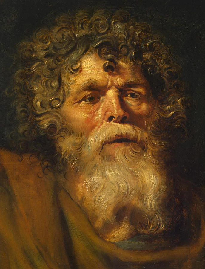 Baroque oil study by Peter Paul Rubens showing the close-up head of an elderly man with wild curly hair, a full white beard, and a brown cloak, his face dramatically lit against a dark background with an expression of astonished contemplation.