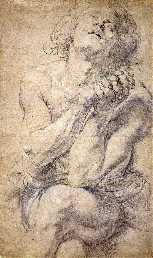 Drawing “Seated Male Youth Study for Daniel” by Peter Paul Rubens showing a muscular, half-nude young man seated with crossed legs, arms raised and hands clasped in prayer, head tilted back in intense emotion.