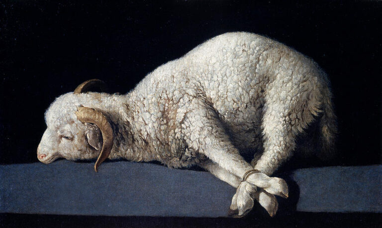 A single white lamb with curled horns lies on a narrow blue ledge against a black background, its legs gently bound with a rope and its head lowered in calm submission, in Zurbaran’s painting “Agnus Dei.”