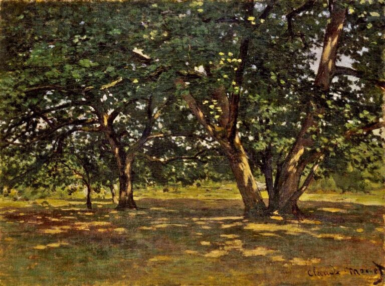 Claude Monet’s Fontainebleau Forest shows a quiet grove of trees with dense green foliage, twisting trunks, and warm sunlight filtering through the canopy onto the shaded forest floor.