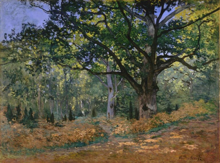 Claude Monet’s 1865 painting “The Bodmer Oak, Fontainebleau,” showing a massive oak tree dominating a sunlit forest clearing with dense green foliage, slender background trunks, and warm brown woodland ground.