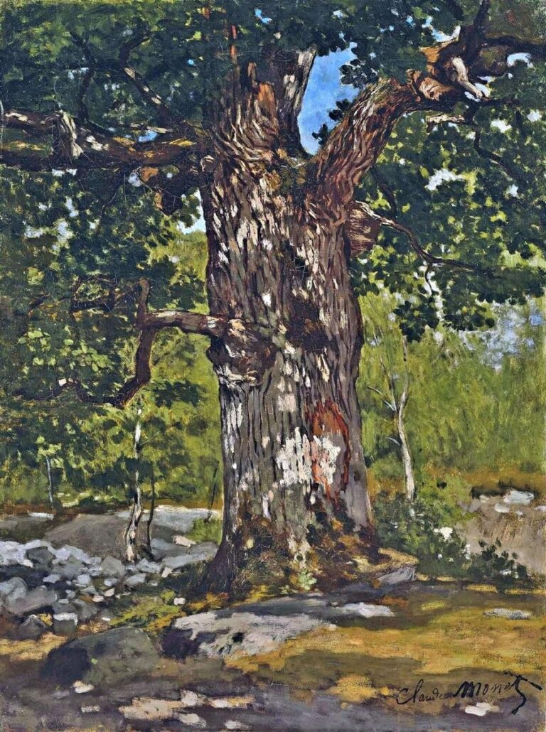Claude Monet’s The Bodmer Oak (1865), an early landscape painting showing a monumental old oak tree with a thick textured trunk, spreading branches, dappled sunlight, green foliage, rocks, and a forest clearing.