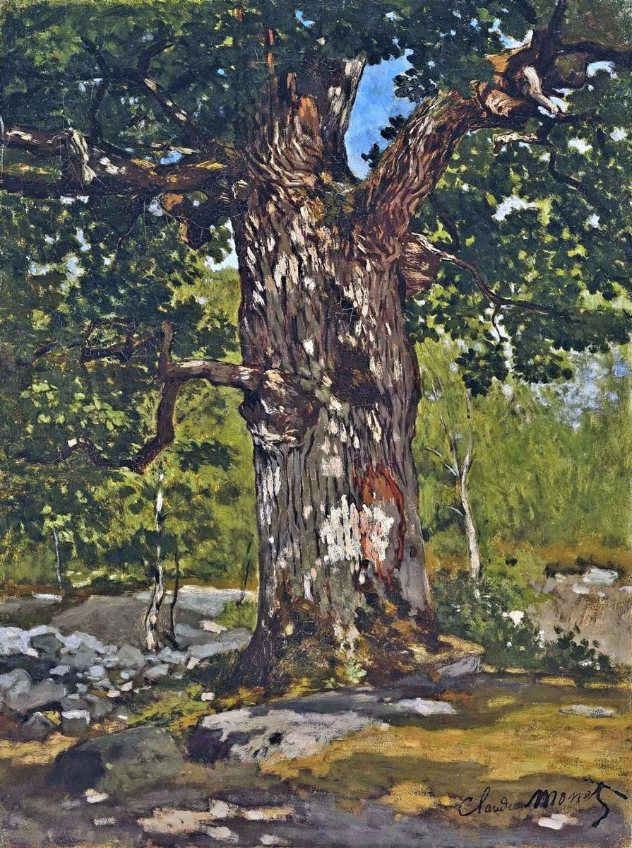 Claude Monet’s The Bodmer Oak (1865), an early landscape painting showing a monumental old oak tree with a thick textured trunk, spreading branches, dappled sunlight, green foliage, rocks, and a forest clearing.